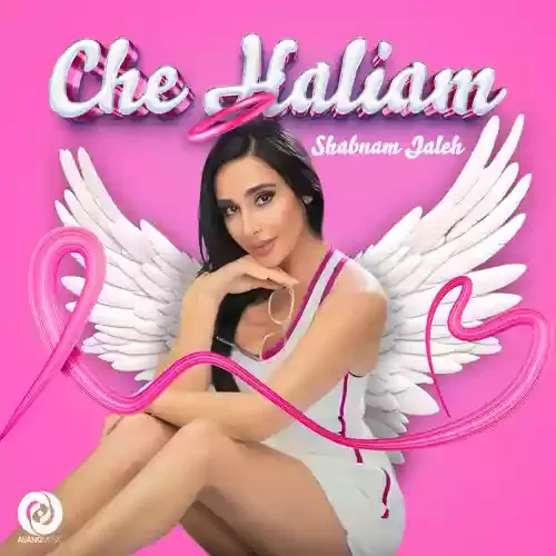 دانلود آهنگ چه حالیم از شبنم ژاله