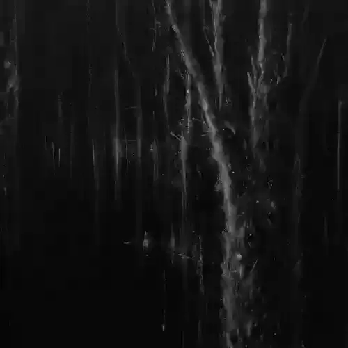 دانلود آهنگ نرفته راه از ام سی تس