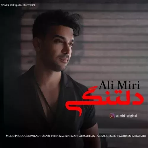 دانلود آهنگ دلتنگی از علی میری