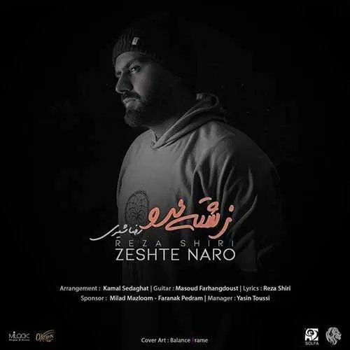 دانلود آهنگ زشته نرو از رضا شیری