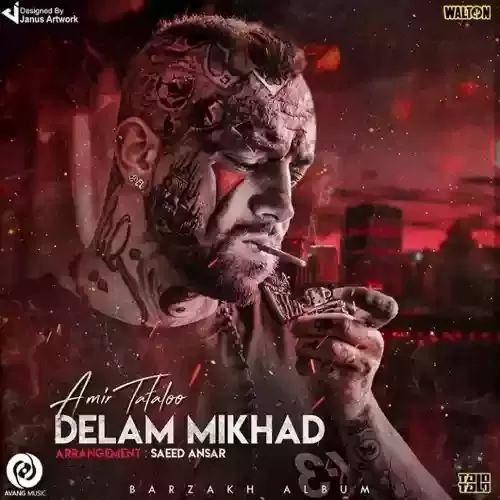 دانلود آهنگ دلم میخواد از استیلس