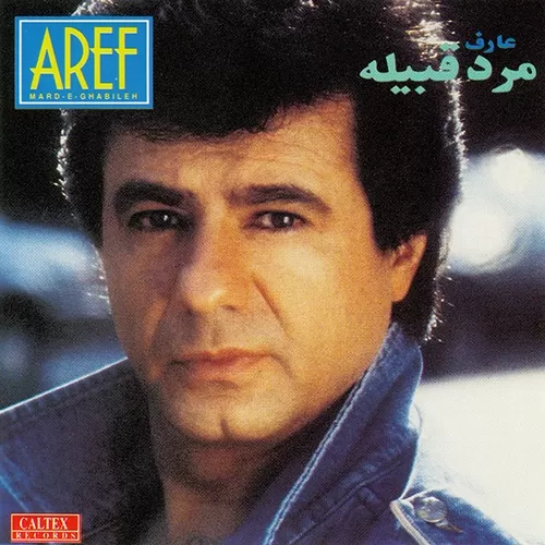 دانلود آهنگ مرد غریبه از عارف