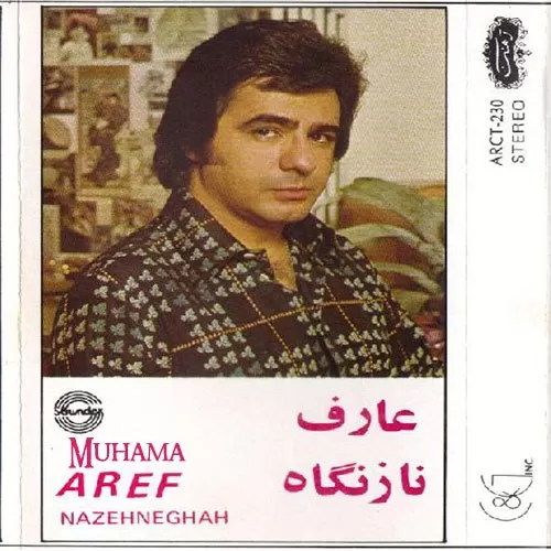 دانلود آهنگ کبوتر چاهی از عارف