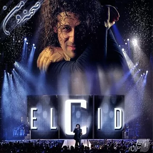 دانلود آهنگ کلاغ ها از السید