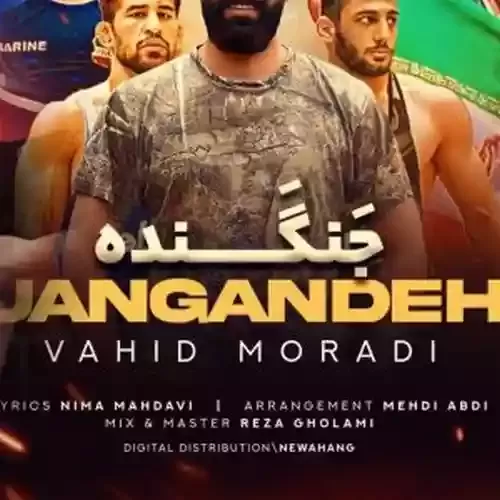 دانلود آهنگ جنگنده از وحید مرادی