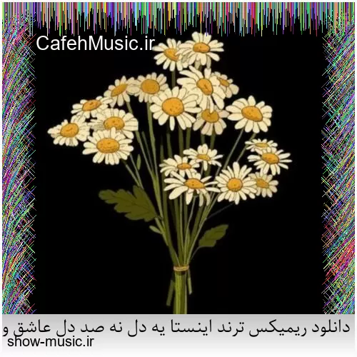 دانلود ریمیکس ترند اینستا یه دل نه صد دل عاشق ولی انگار نه انگار