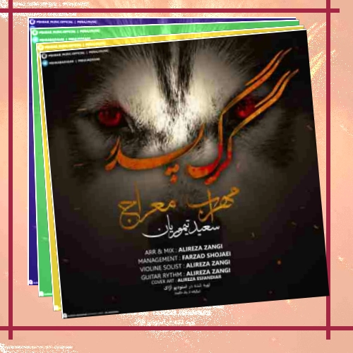 دانلود آهنگ مهراب و معراج بنام گرگ پدر