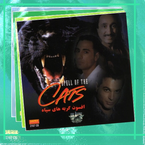 دانلود آهنگ بذار نگات کنم باز این آخرین دیداره خداحافظ عزیزم