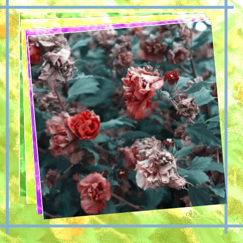دانلود آهنگ بهرام بنام عمق