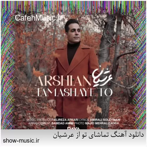 دانلود آهنگ من دیوونه از صادق زین